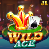Wild Ace 789 casino game